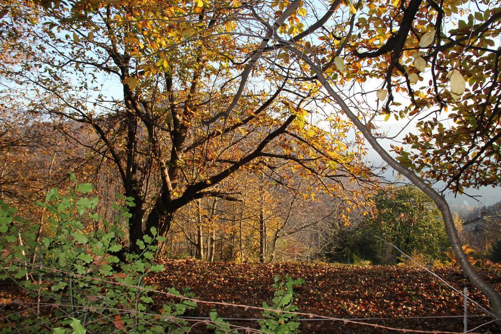 Villa Casa Al Sasso à Bedigliora Extérieur photo